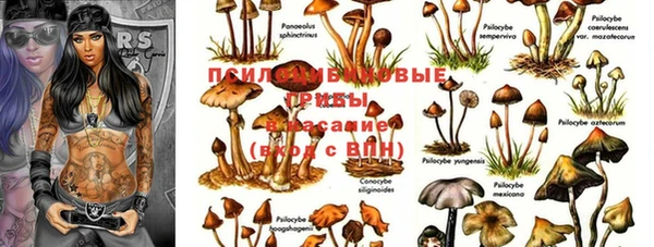 крисы Володарск