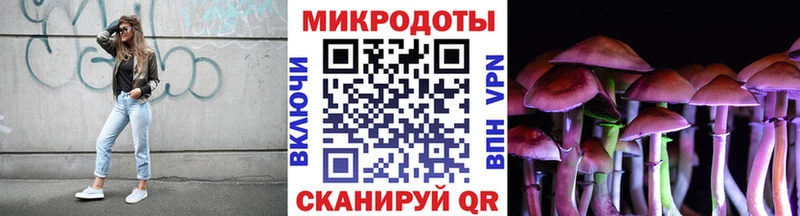 Псилоцибиновые грибы мицелий  цена   маркетплейс какой сайт  Кашира  blacksprut ссылка 